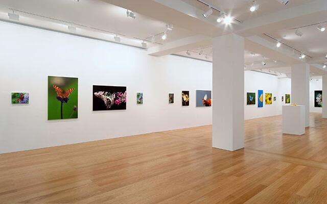Membuat Galeri Foto di Joomla 3 dengan JoomGallery