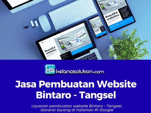 Jasa Pembuatan Website Bintaro