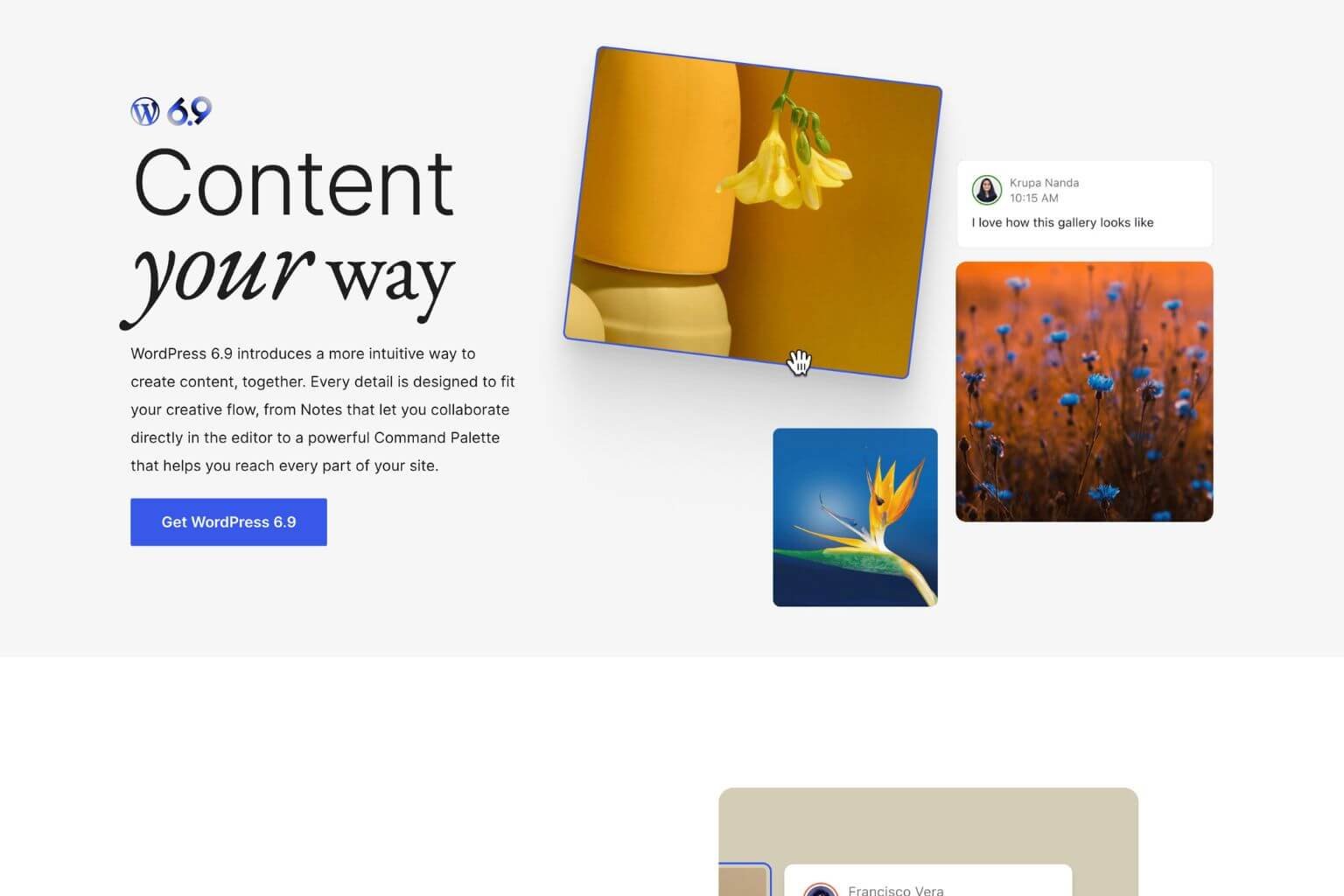 Wordpress 6.9, versi rilis 2 Desember 2025